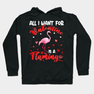 All I Want For Valentine Is A Flamingo Couple Valentine Gift Hoodie